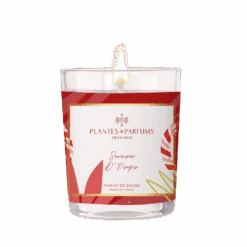 Bougie Végétale Sucre D'Orge 75g