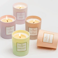 Bougie Végétale Pêche De Vigne 180g -Aromathérapie Boutique Bougie 9 95027205 aac2 4992 837c a995aa535ee7 1