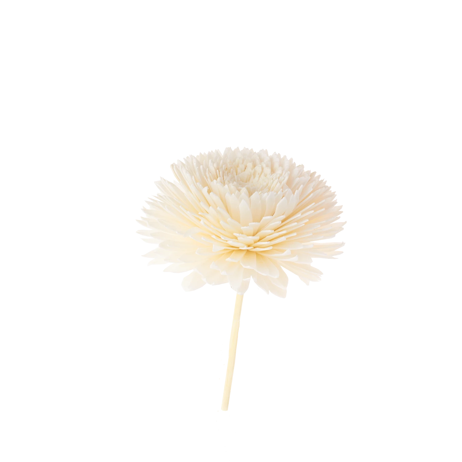 Fleur Pour Diffusion Parfumée 3 Fleur Pour Diffusion Parfumée