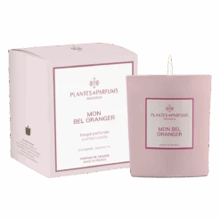 Bougie Végétale Mon Bel Oranger 180g Avec étui