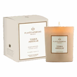Bougie Végétale Tonka Absolue 180g Avec étui