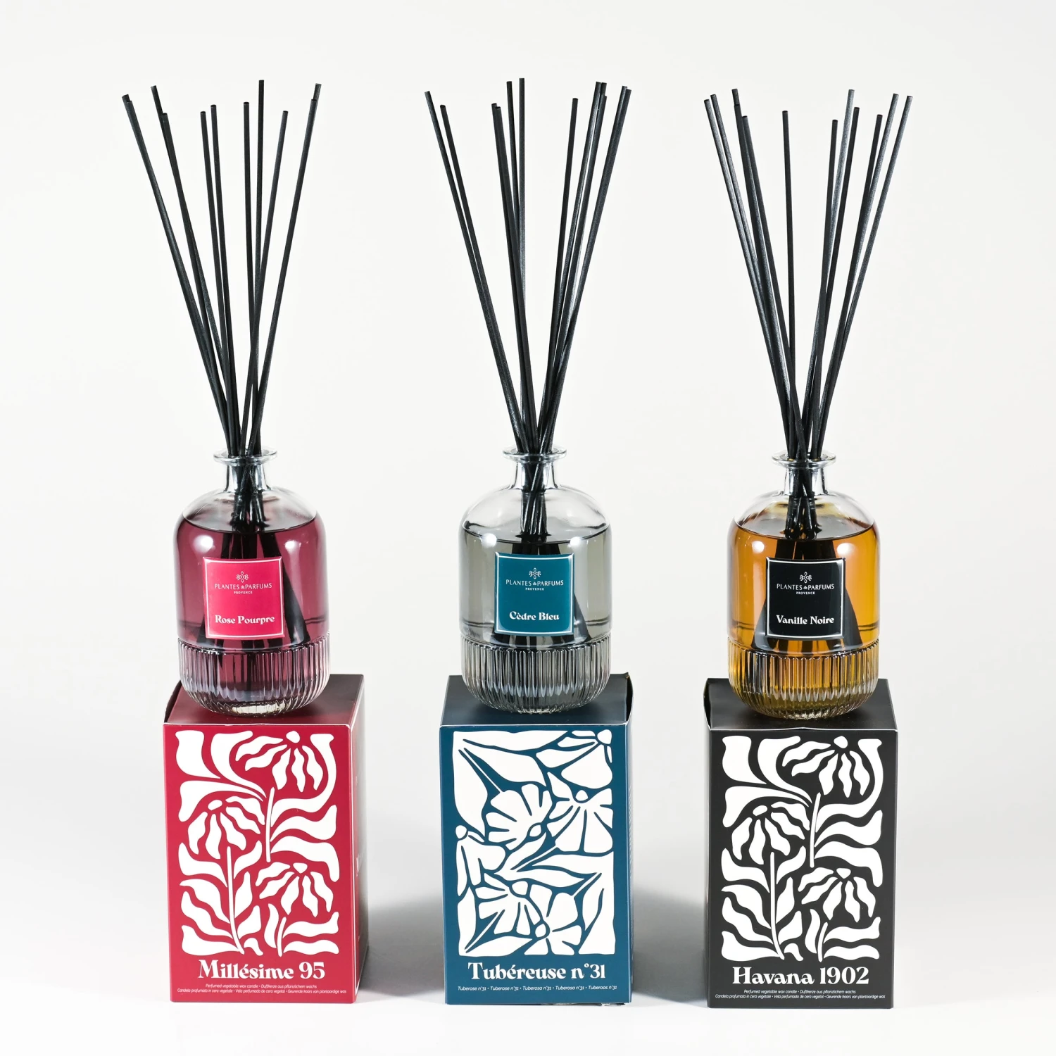 Bouquet Parfumé Vanille Noire Et Ses Bâtonnets 5 Bouquet Parfumé Vanille Noire Et Ses Bâtonnets – Image 3